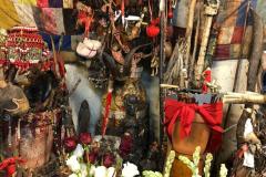 WhatsApp-Image-2026-03-19-at-1.35.23-PM